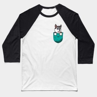 Cute Cartoon Dog in a pocket Baseball T-Shirt